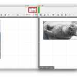 tips_DateOrientation